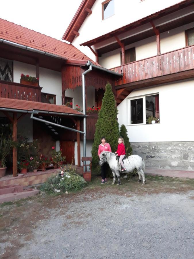 Bed and Breakfast Molnar Vendeghaz à Praid Extérieur photo