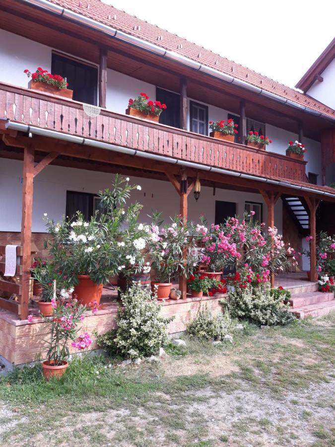 Bed and Breakfast Molnar Vendeghaz à Praid Extérieur photo