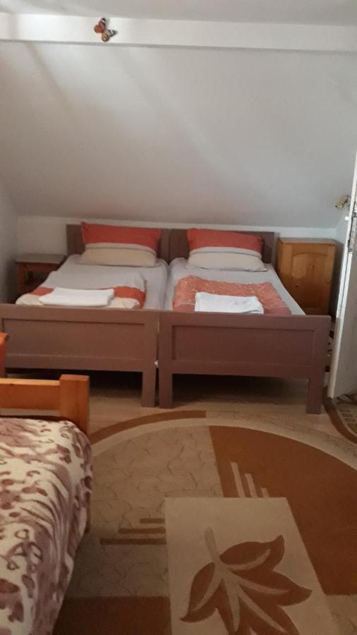 Bed and Breakfast Molnar Vendeghaz à Praid Extérieur photo